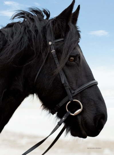 Annemara Post for Town & Country June 2017, photographer Richard Phibbs, stylist Martha Ward 