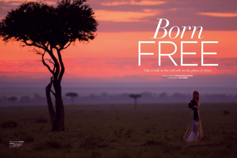 Annemara Post for Country & Town House March 2018, Photographer Alex Beer, Stylist Nicole Smallwood 