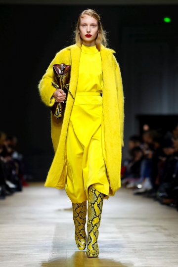 Demy de Vries shows Parijs Fall 2018 Rochas