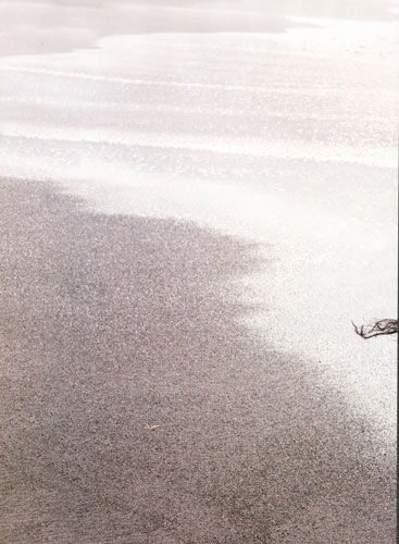 Bo Don for Amica March 2011 photographer Alessandro Dal Buoni 