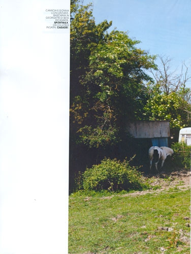 Sophie Vlaming for Marie Claire Italy December 2011 photographer Bharat Sikka 